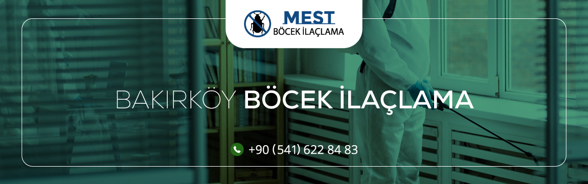 Bakırköy Böcek İlaçlama