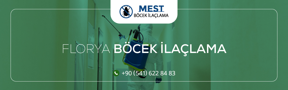 Florya Böcek İlaçlama Florya Böcek İlaçlama