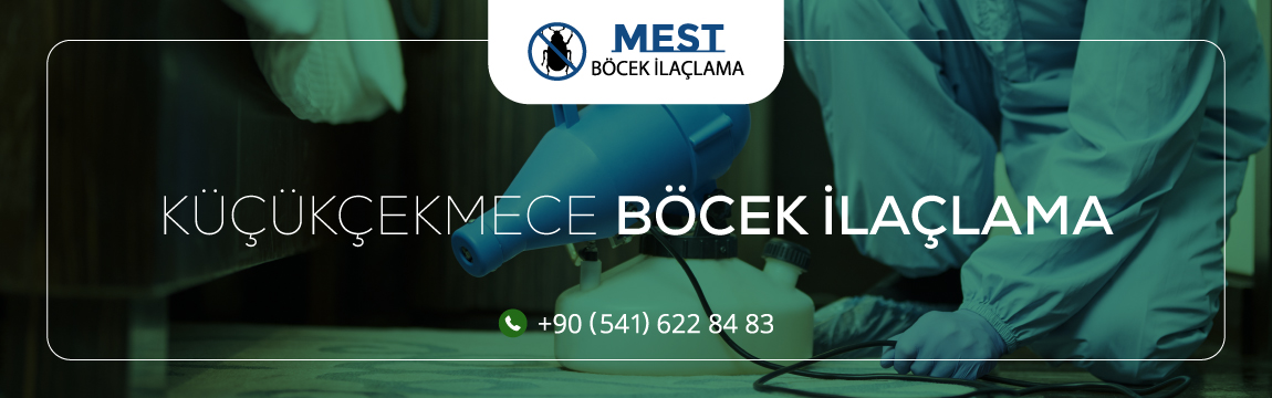Küçükçekmece Böcek İlaçlama