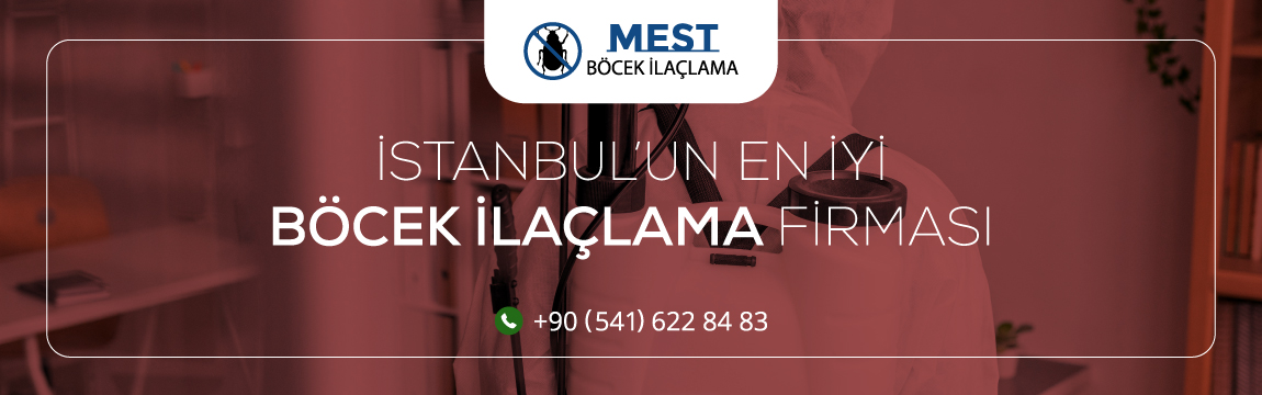 Ev İlaçlama Fiyatları