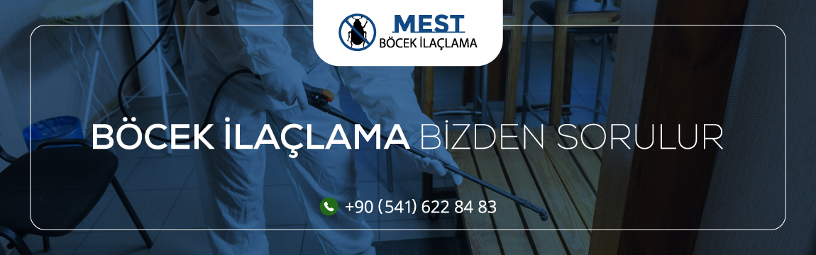 İstanbul Avrupa Yakası’nın Gözdesi: Mest Böcek İlaçlama Şirketi