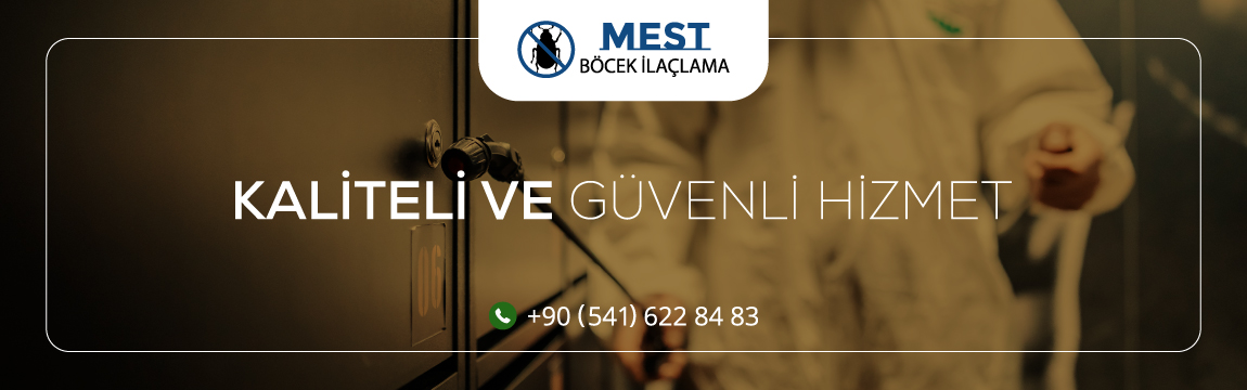 İstanbul Avrupa Yakası’nın Gözdesi: Mest Böcek İlaçlama Şirketi
