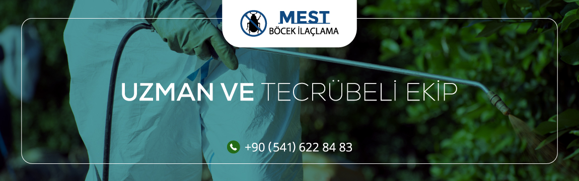Böcek İlaçlama Nedir? Böcek İlaçlama Nasıl Yapılır?