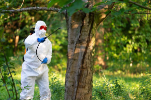 Böcek İlaçlama Şirketi